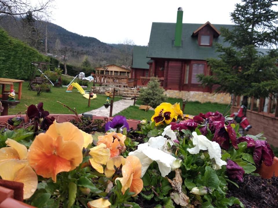 Kedra Village Екстериор снимка