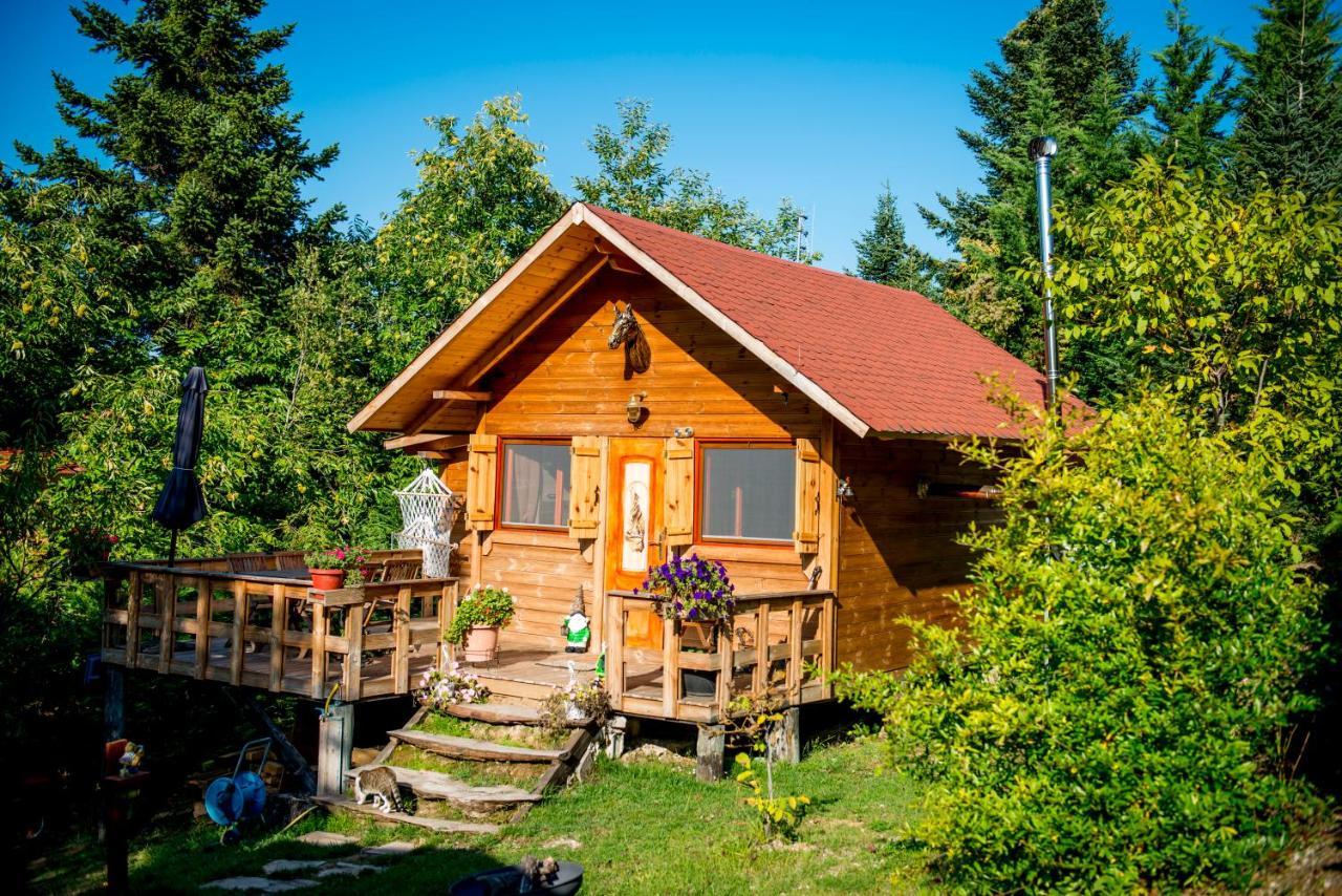 Kedra Village Екстериор снимка