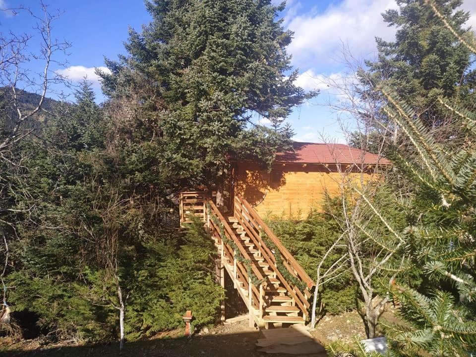 Kedra Village Екстериор снимка